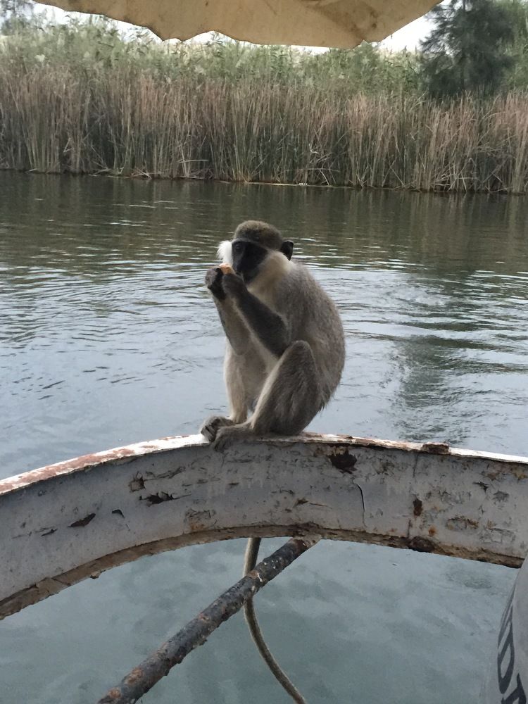 Фотография автора Hassan Mohamed Hamissa