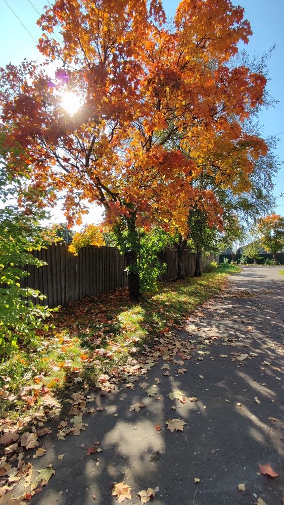 Фотография автора Марина