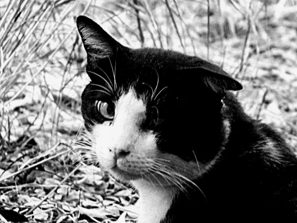 Фотография автора Сергей Рапопорт