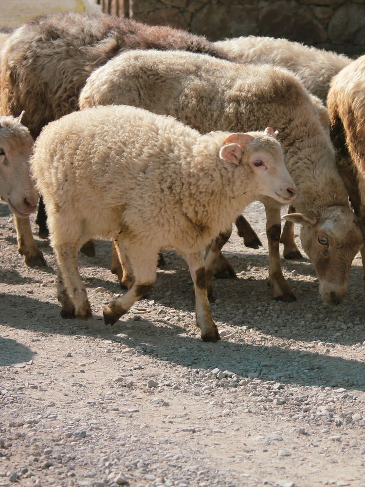 Photograph by Татьяна Долгушева