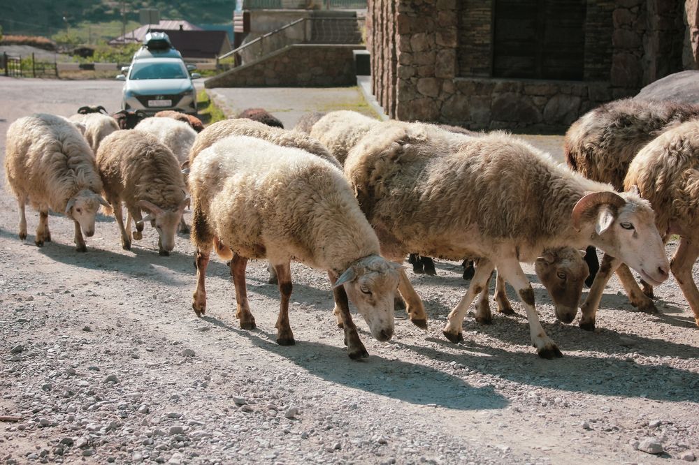 Photograph by Татьяна Долгушева