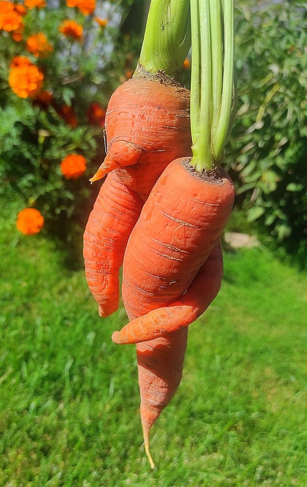 Photograph by Дмитрий Якимов