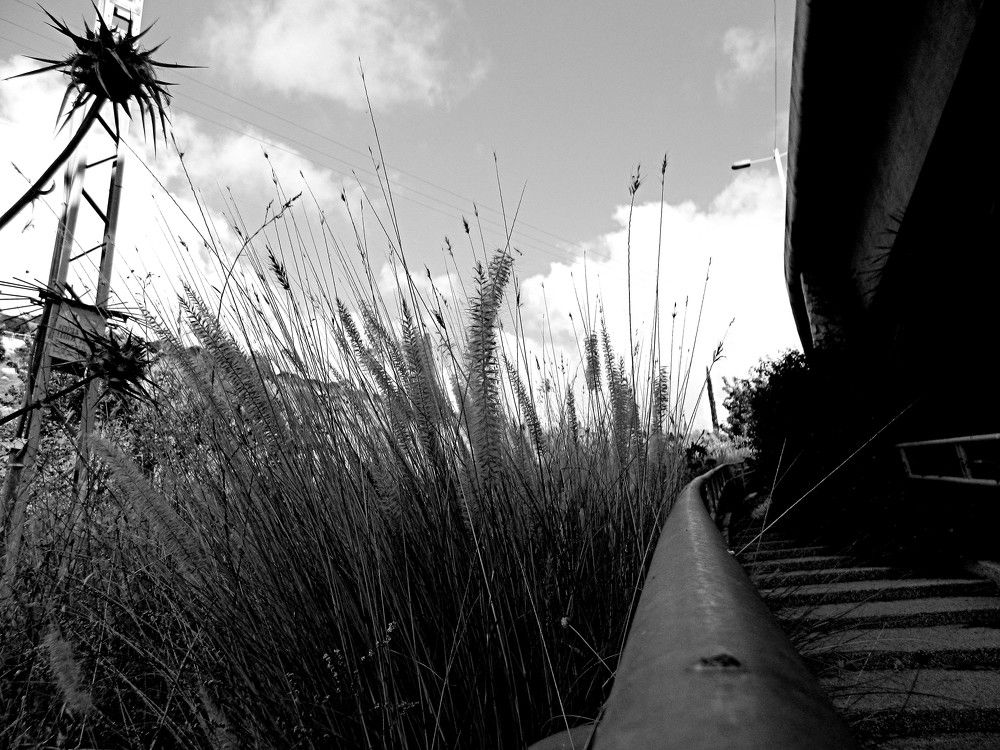 Фотография автора Сергей Рапопорт