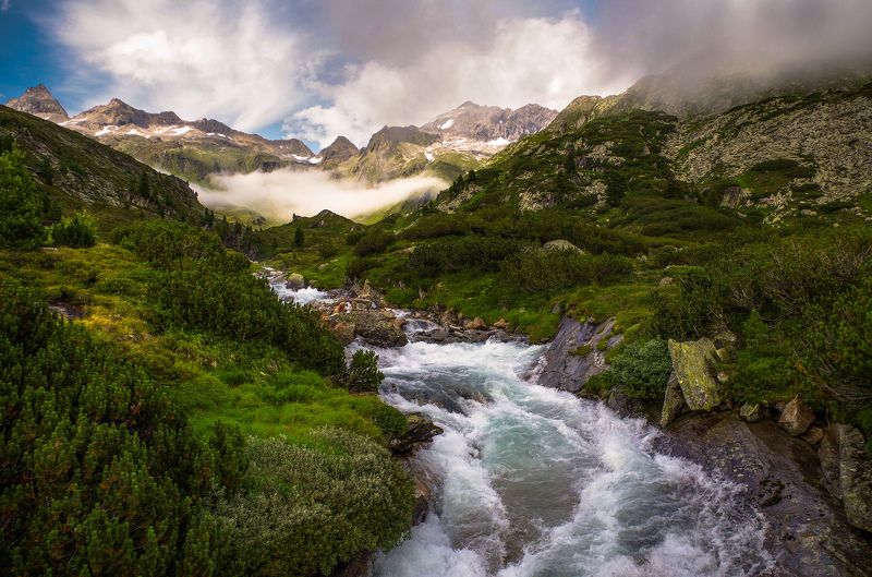 Ольга, Ukraine