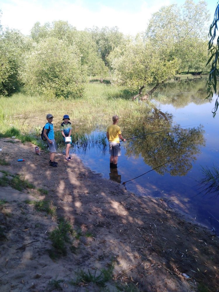 Photograph by Янина Милош