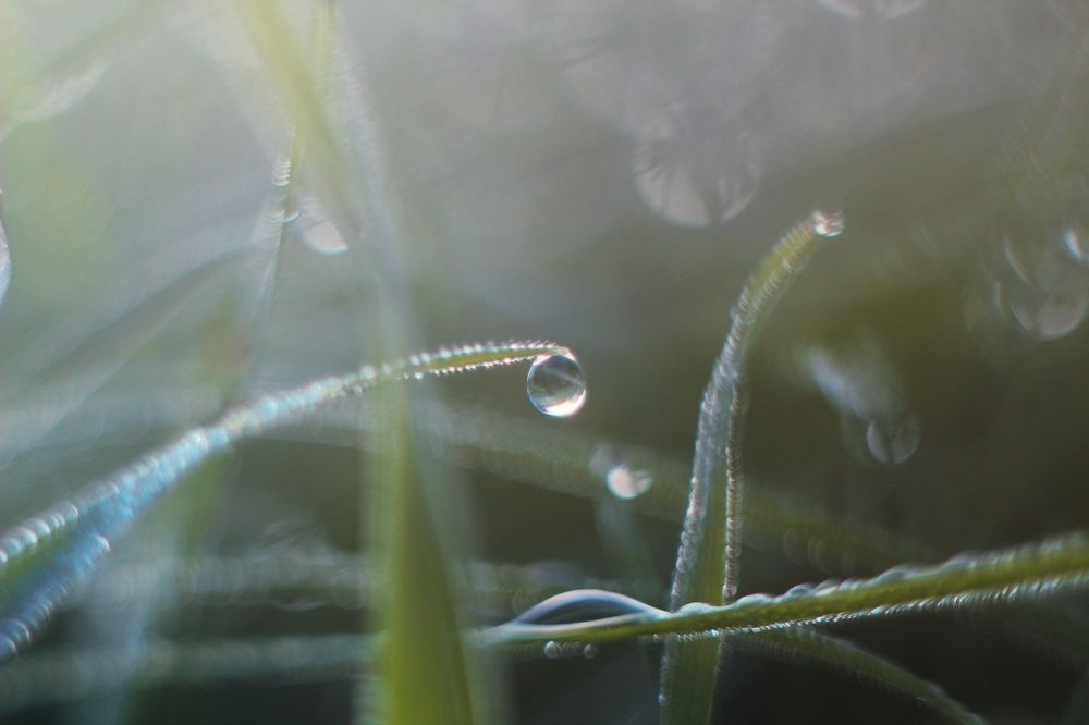 Фотография автора Ivan Karpoff