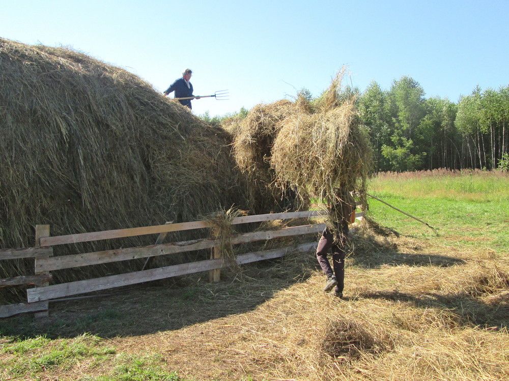 Photograph by Михаил Попов