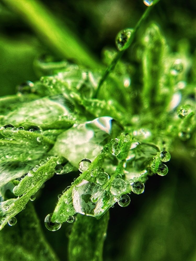 Photograph by Ксения