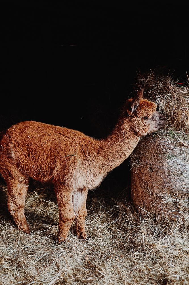 Photograph by Мария Митрофанова