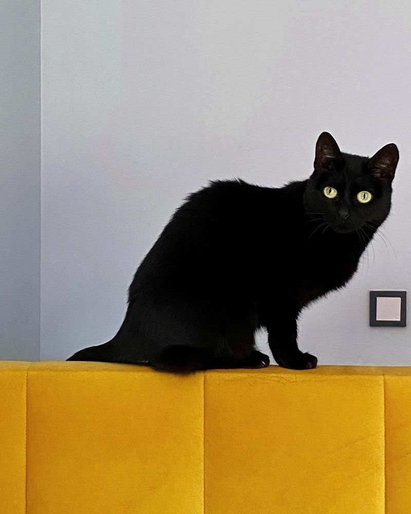 Фотография автора Мария