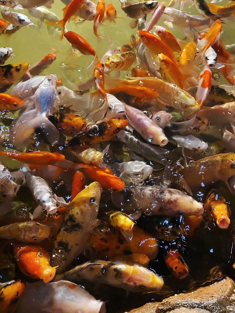 Фотография автора Мария