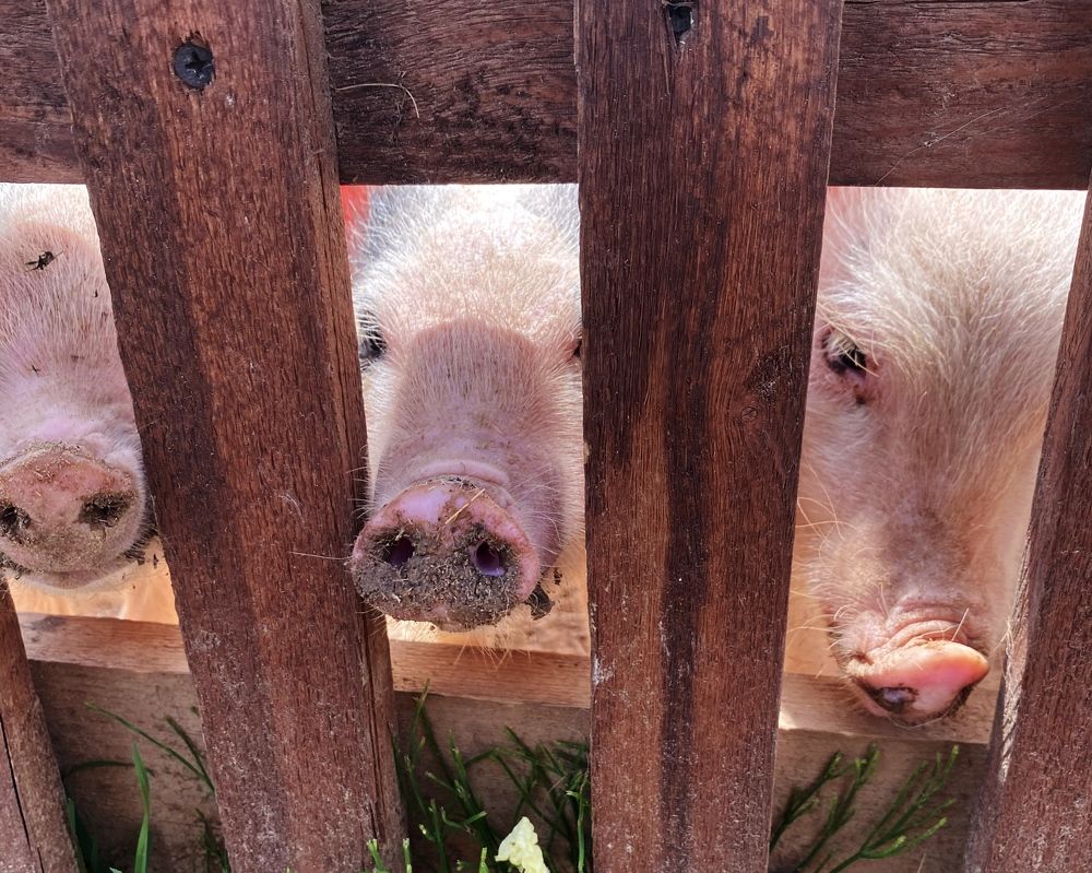 Фотография автора Мария