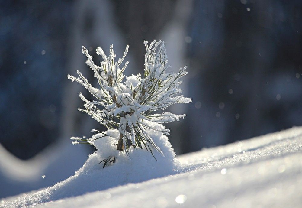 Photograph by Мазур Максим