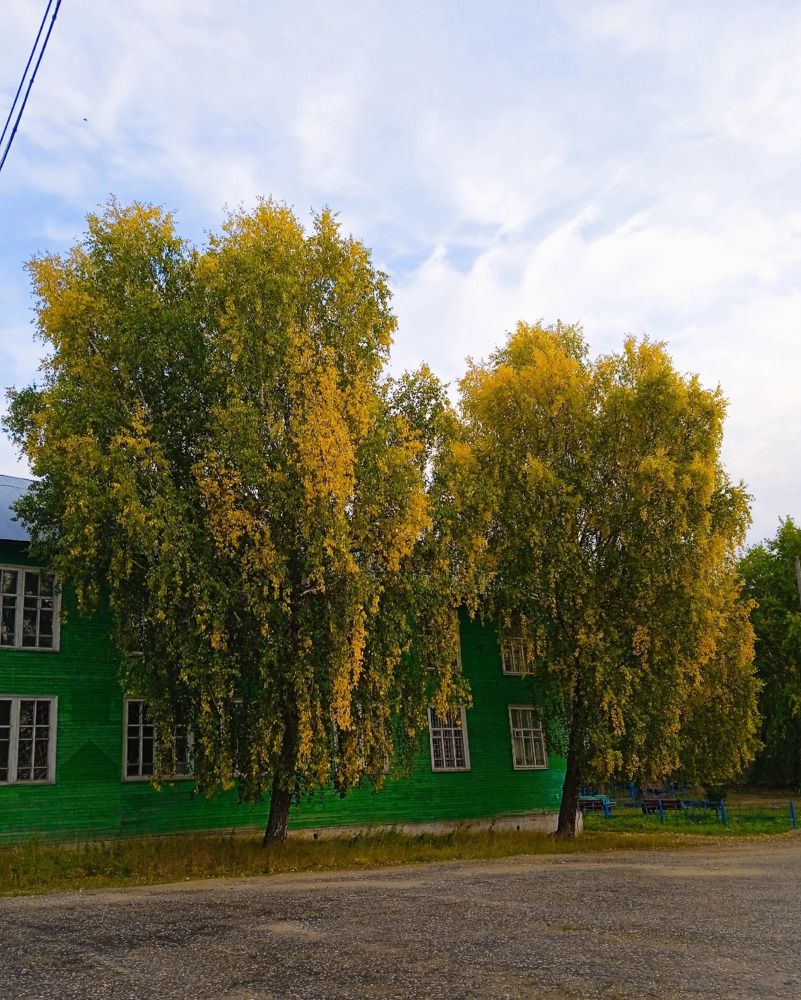 Фотография автора Мария