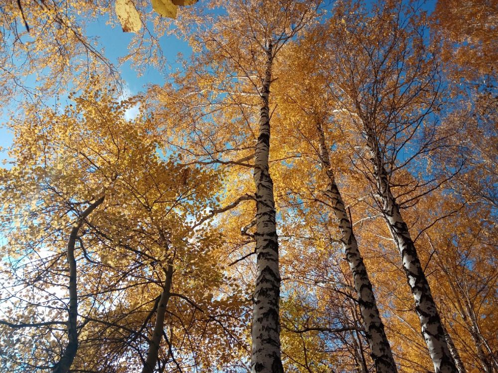 Photograph by Надежда Рулькова
