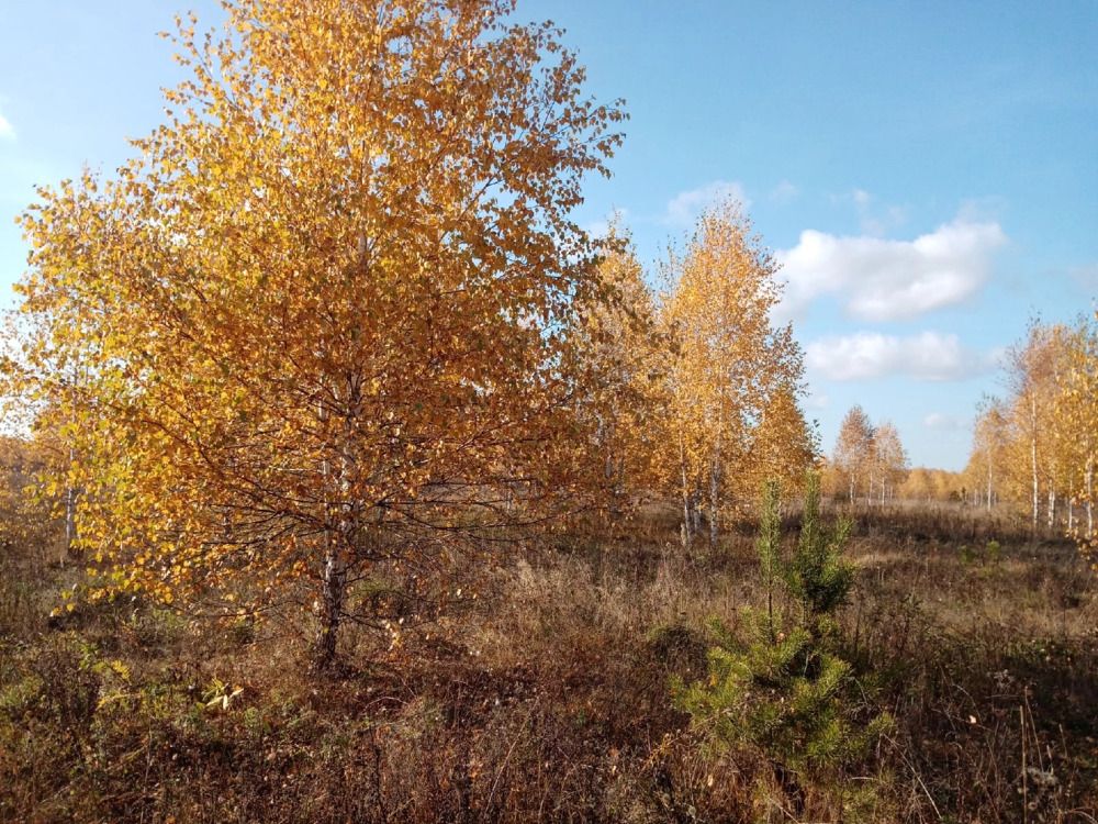 Photograph by Надежда Рулькова