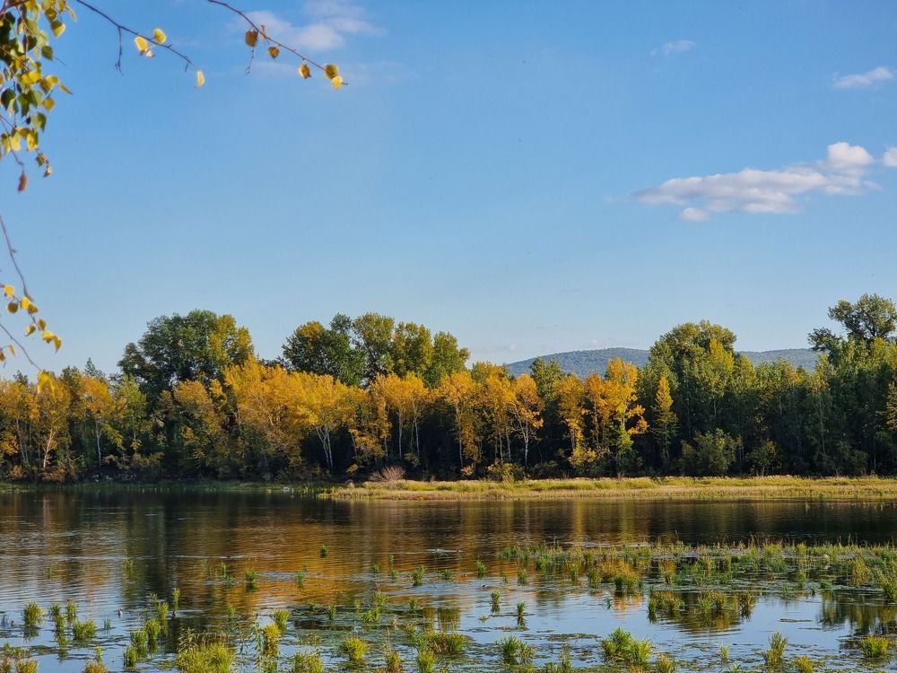 Фотография автора Лилия