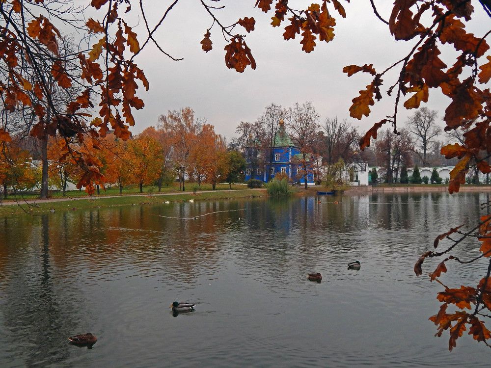 Photograph by Ольга Владимировна Мухина