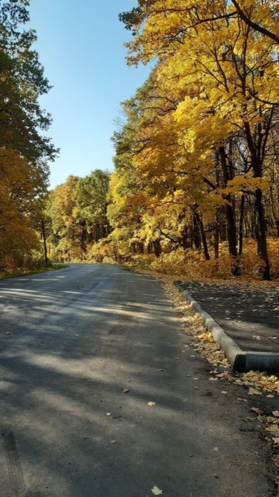 Осенняя пора