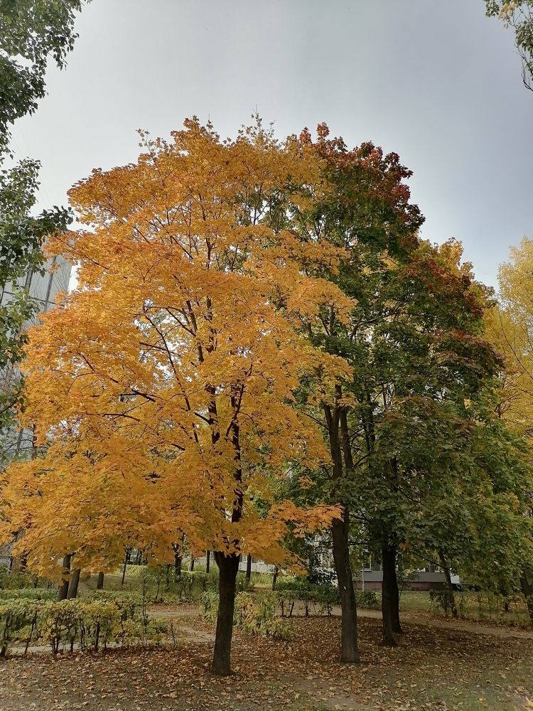 Фотография автора Любовь Панфилова