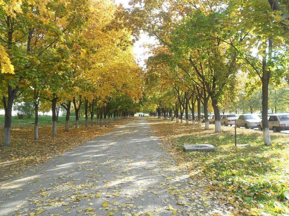 Фотография автора Любовь Панфилова