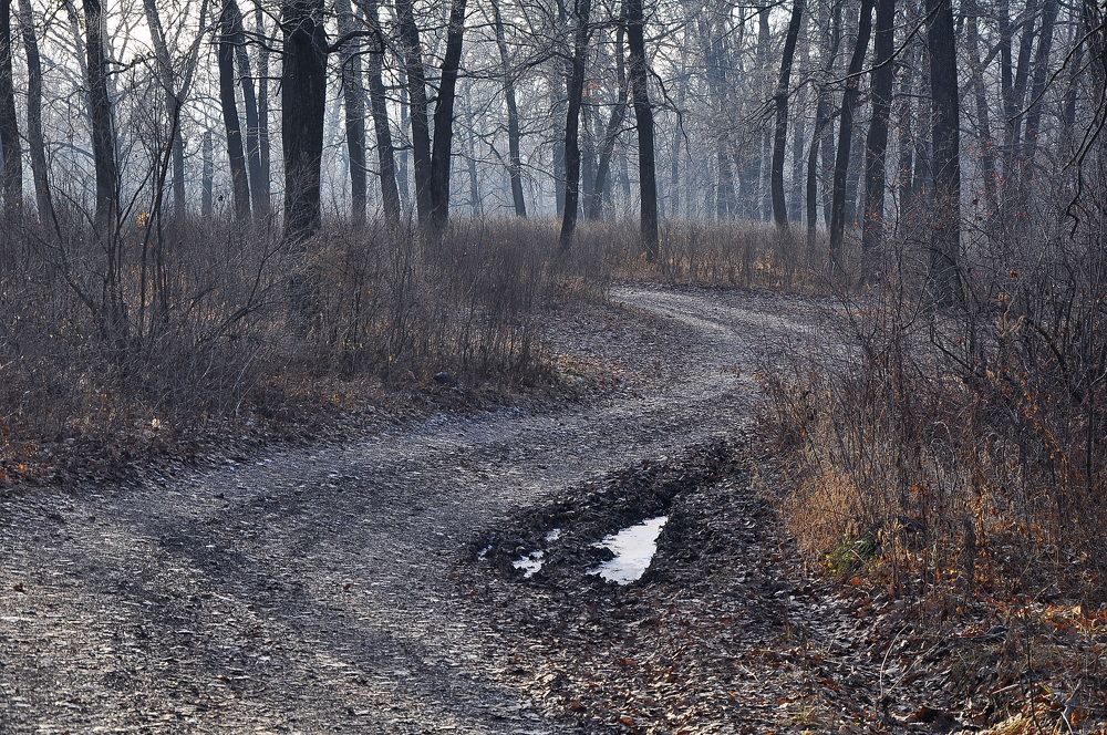 Фотография автора Валерий Дубровин