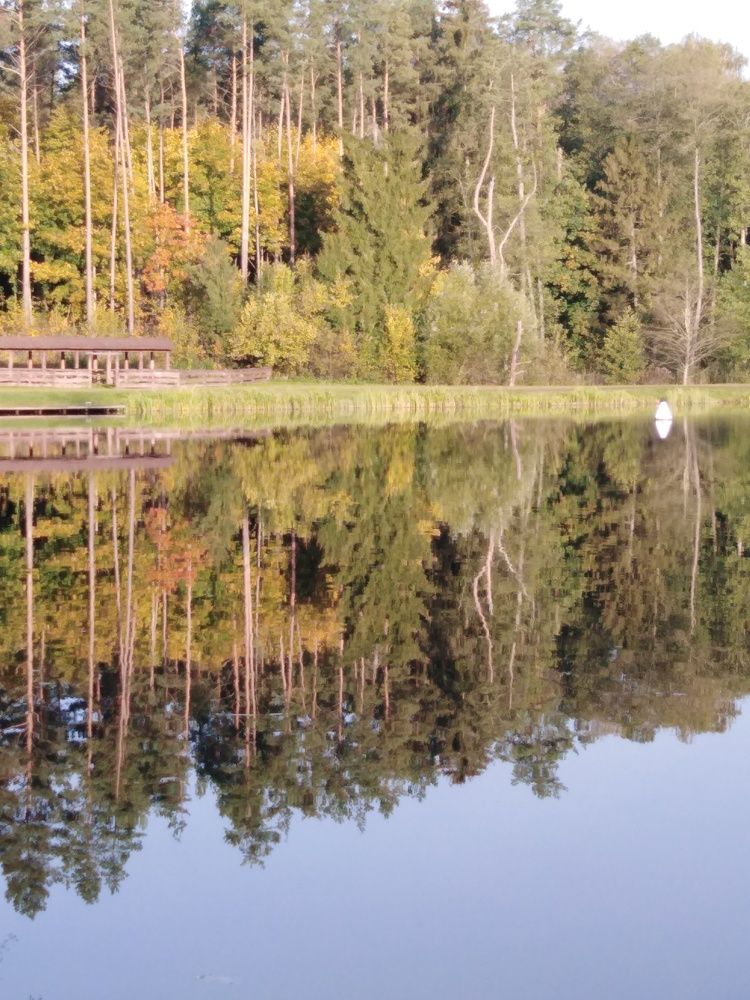 Photograph by Янина Милош