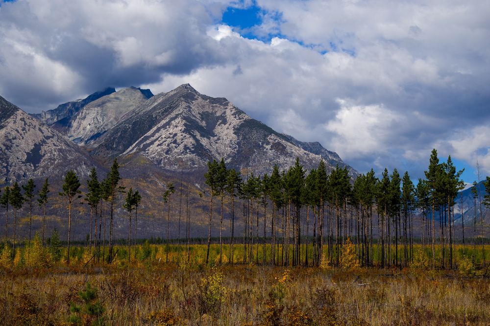 Фотография автора Марина Корреа Ластра