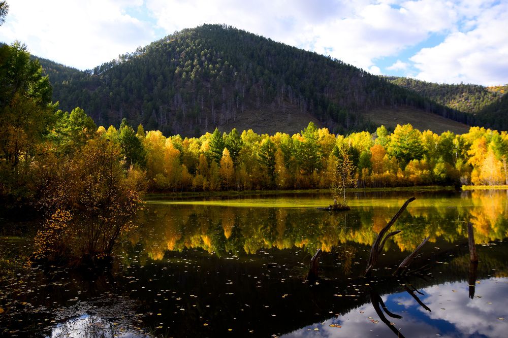 Фотография автора Марина Корреа Ластра