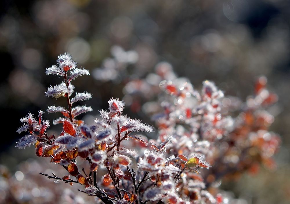 Photograph by Leonid Golubkov