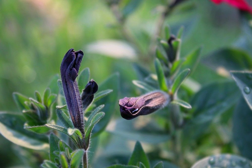 Photograph by Мазур Максим