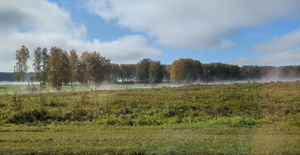 Photograph by Евгения Гунина