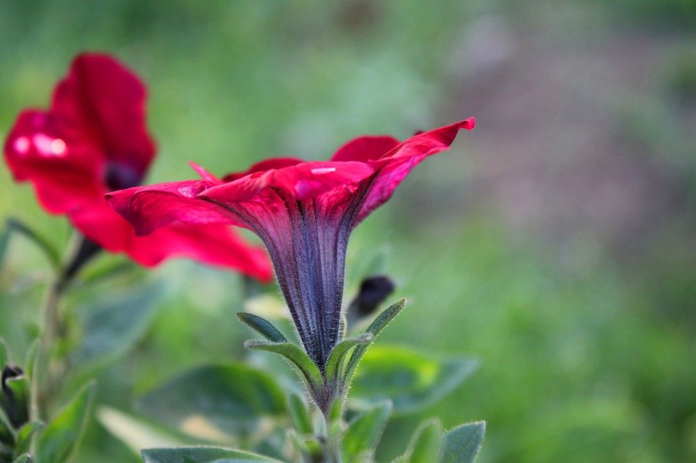 Photograph by Мазур Максим