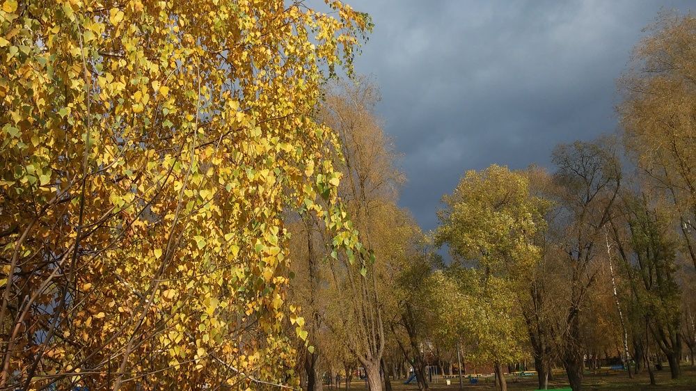 Фотография автора Елена Лещева