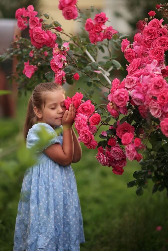Photograph by Анастасия Малькевич