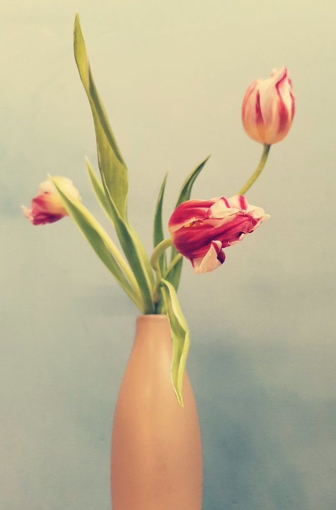 Photograph by Янина Найденцева