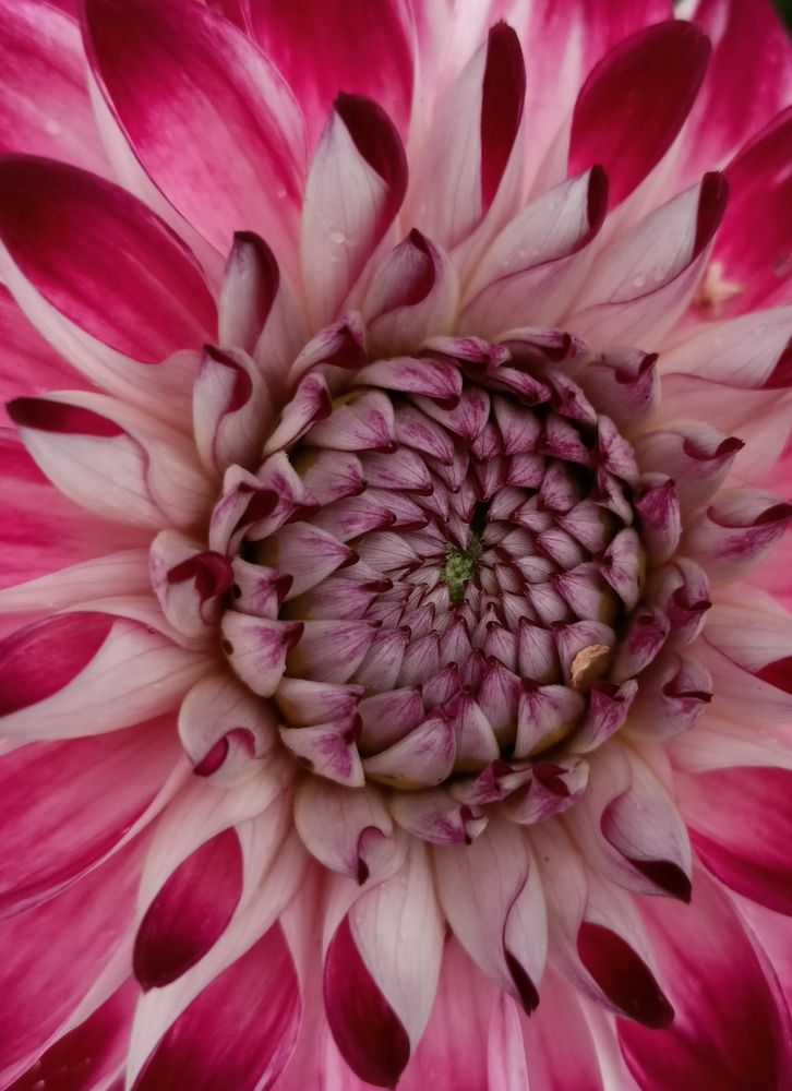 Фотография автора Анастасия Горбачева