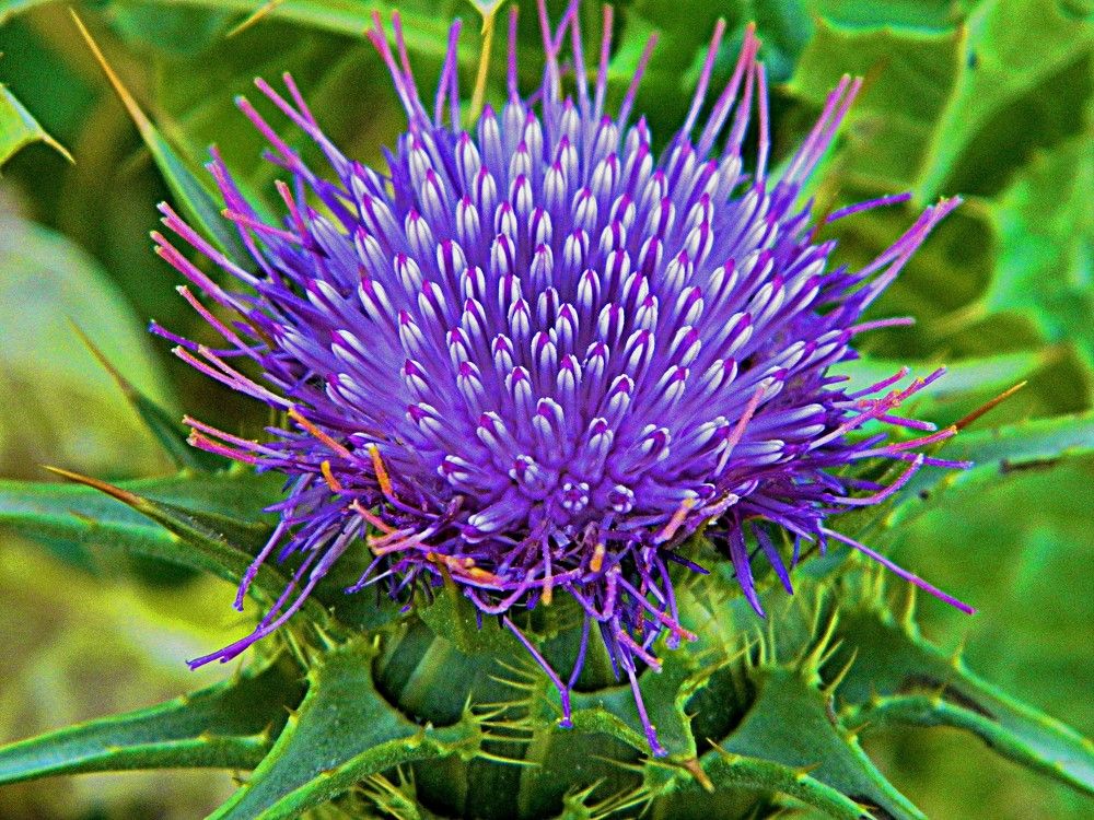 Фотография автора Сергей Рапопорт