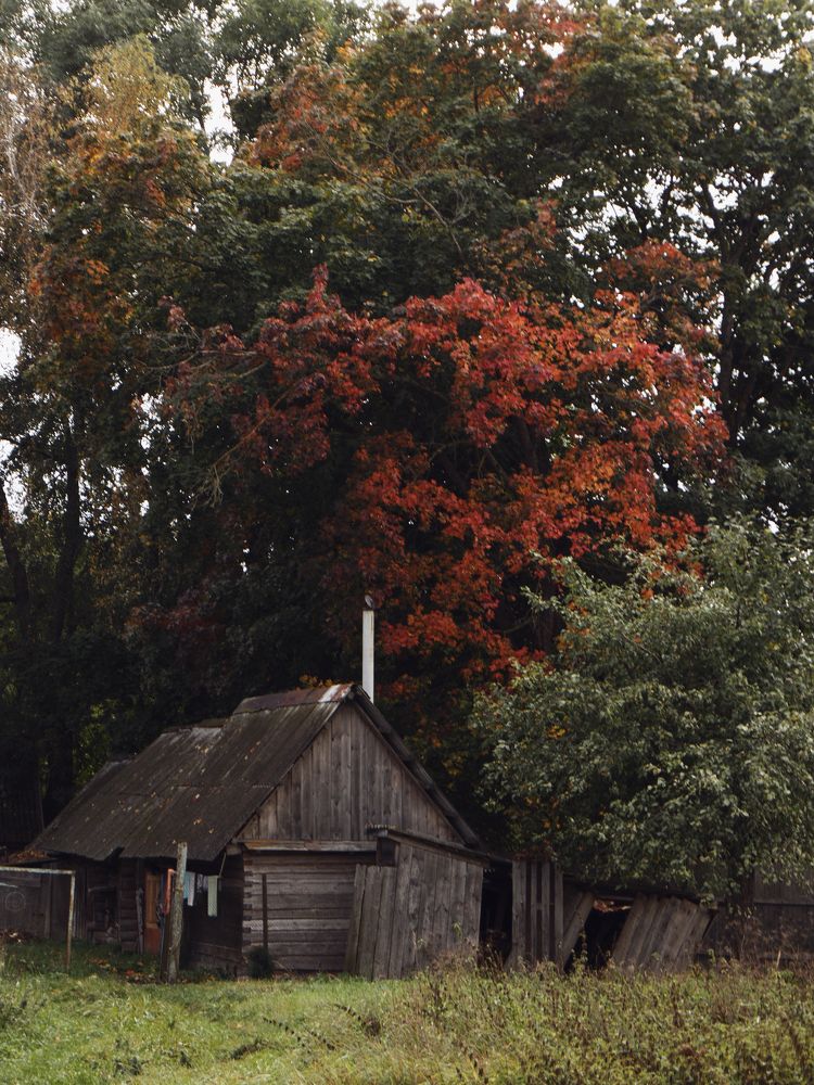 Photograph by Anna Medvedeva