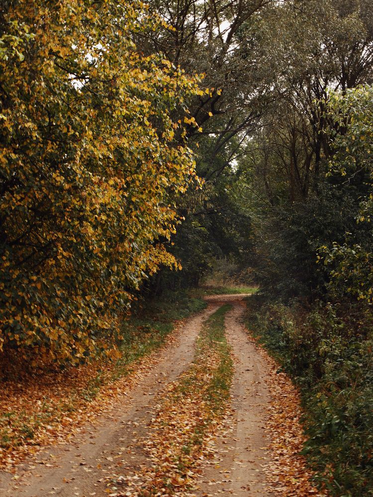 Photograph by Anna Medvedeva