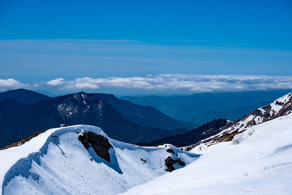 Photograph by Янина Найденцева