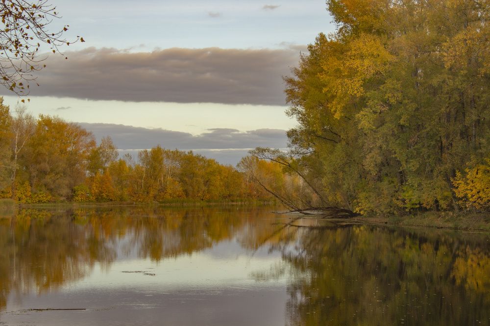 Photograph by SLAVA POTOCKIJ