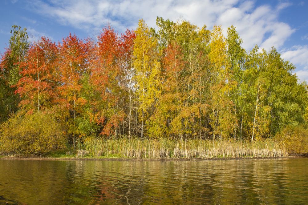 Photograph by SLAVA POTOCKIJ