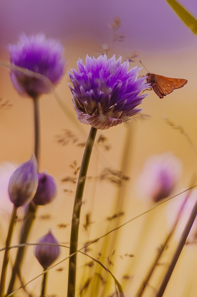 Photograph by Мария Митрофанова