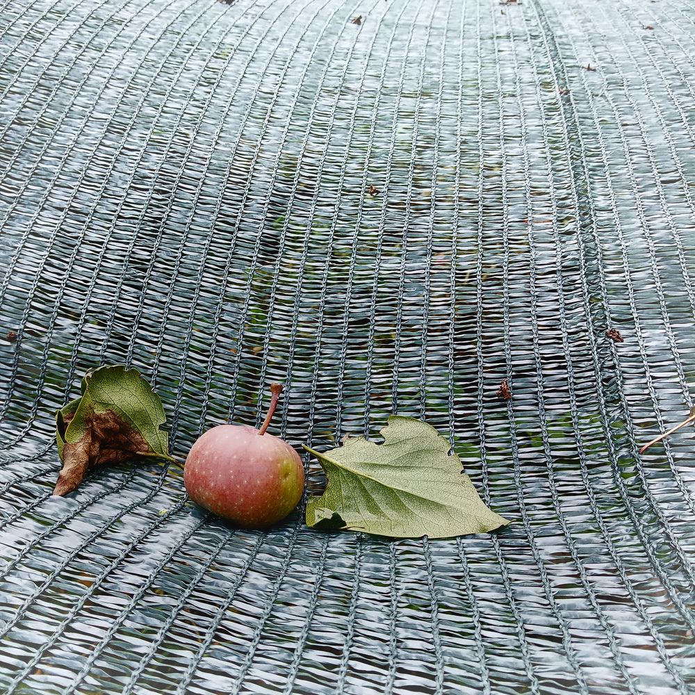 Photograph by Светлана Зубанова