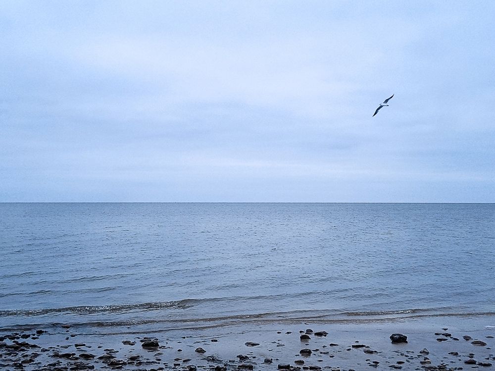 Photograph by Светлана Зубанова