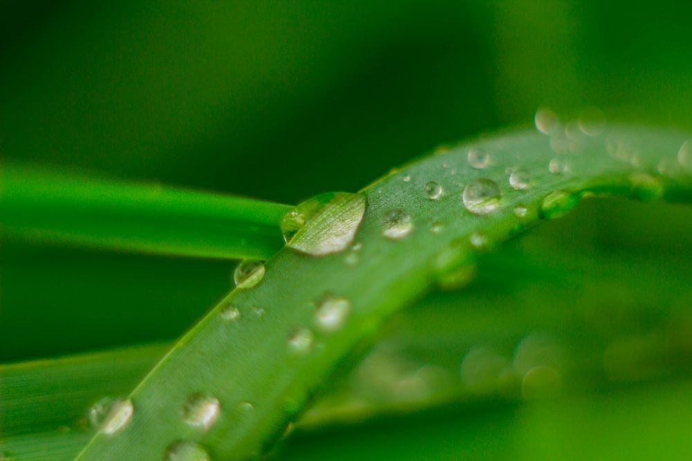 Фотография автора Ivan Karpoff