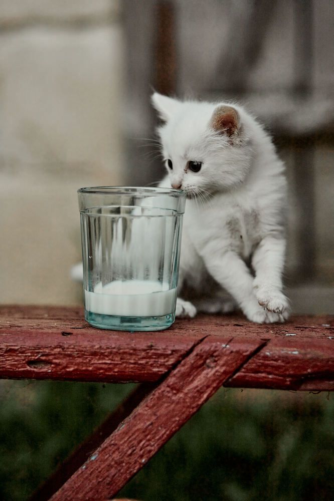 Photograph by Artiom