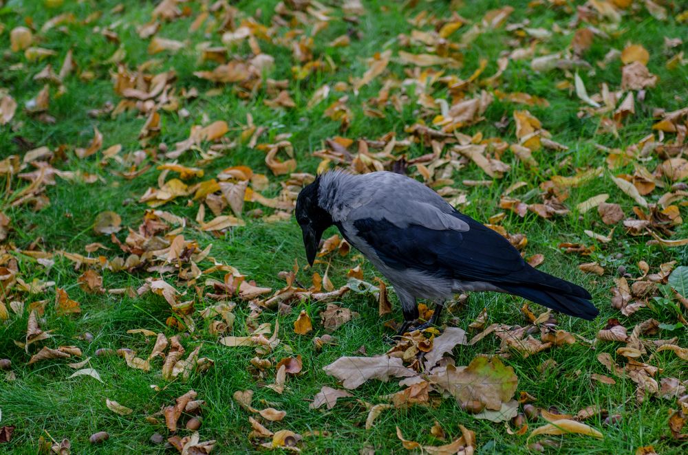 Photograph by Татьяна