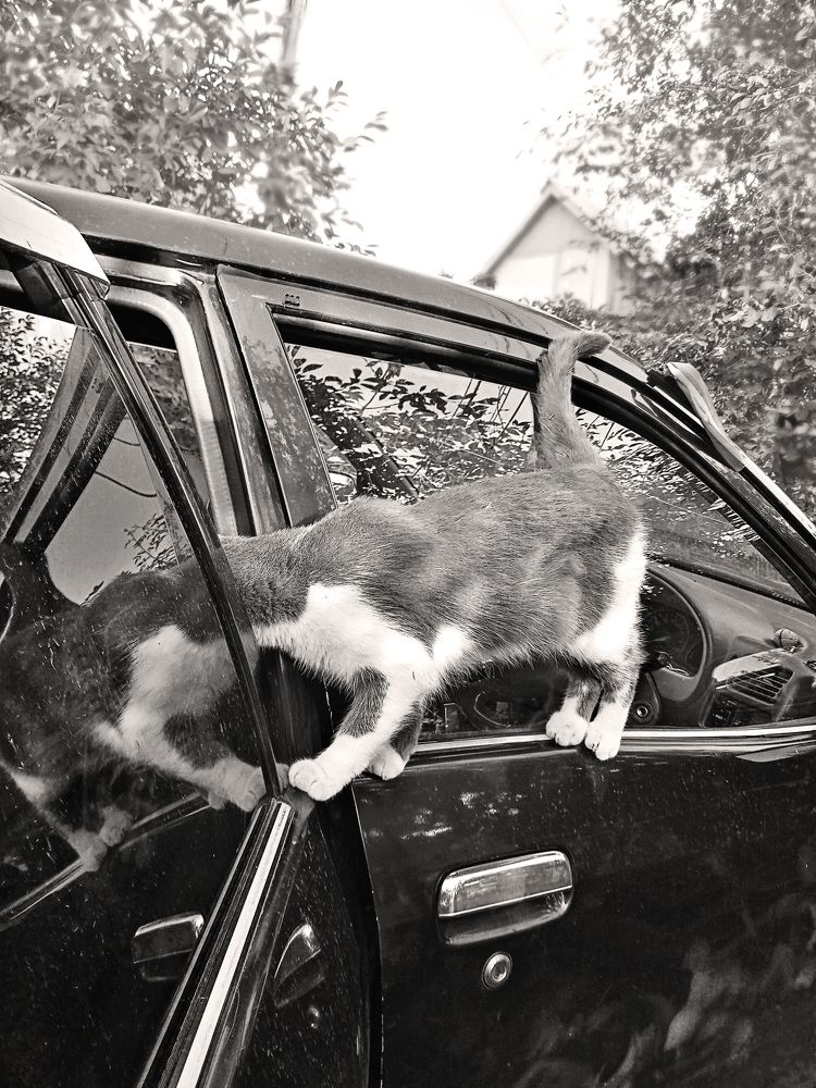 Photograph by Светлана Зубанова